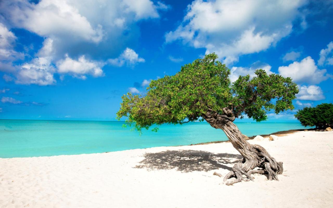Eagle Beach Steps Away Home شاطئ بالم المظهر الخارجي الصورة